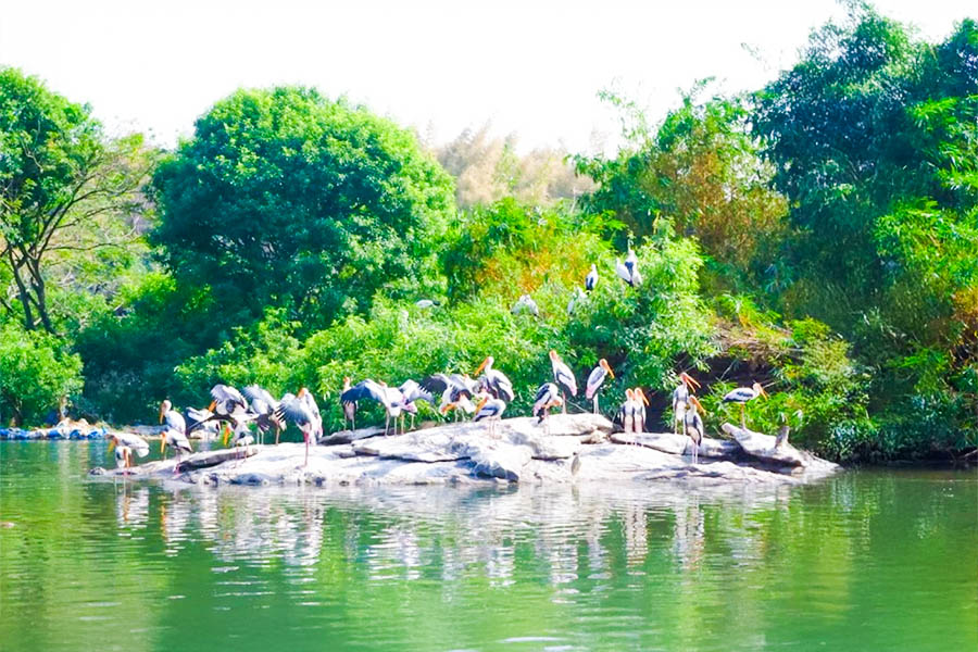 Ranganathittu bird sanctuary karnataka