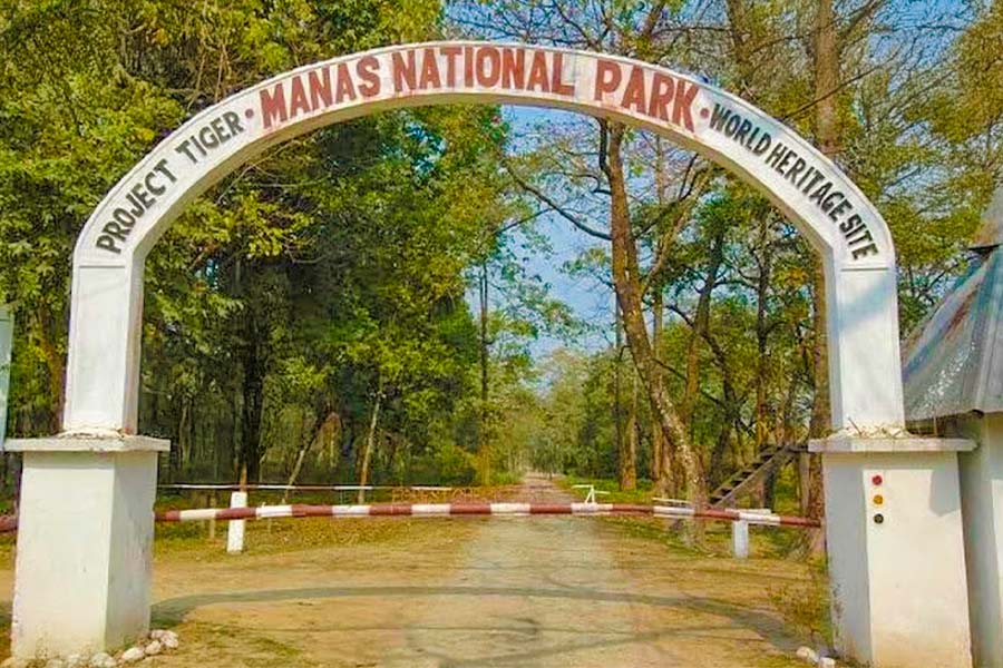 manas nationa;l park