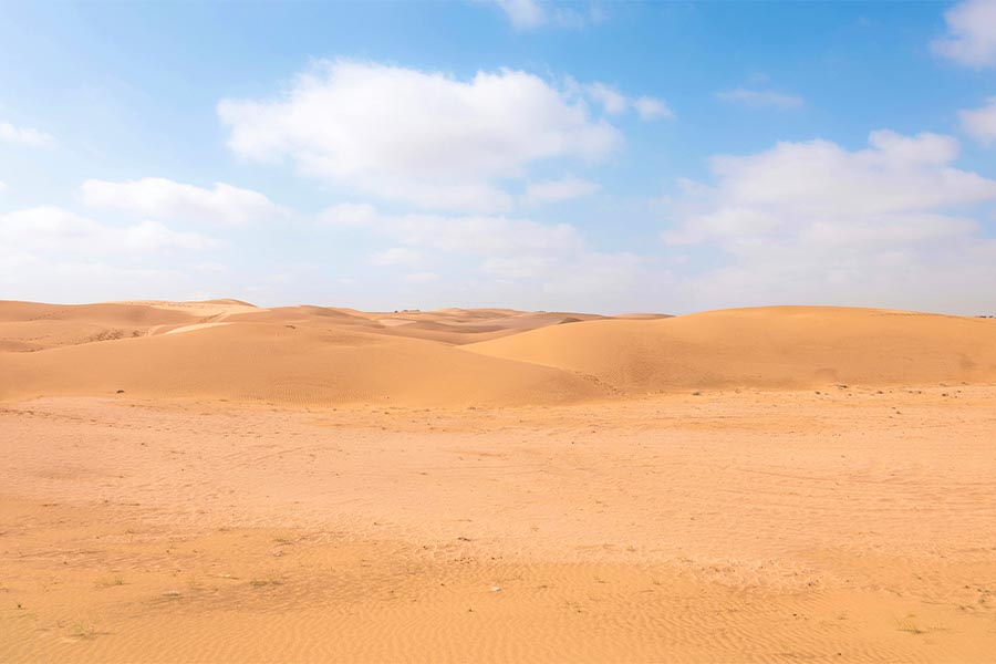 Desert National Park ( Rajasthan)