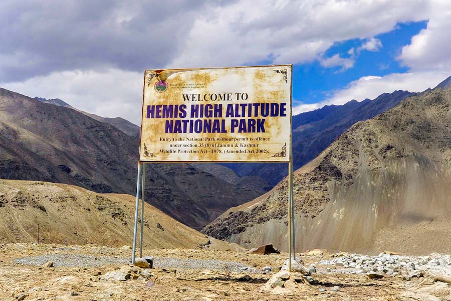 Hemis National park ( Ladakh )